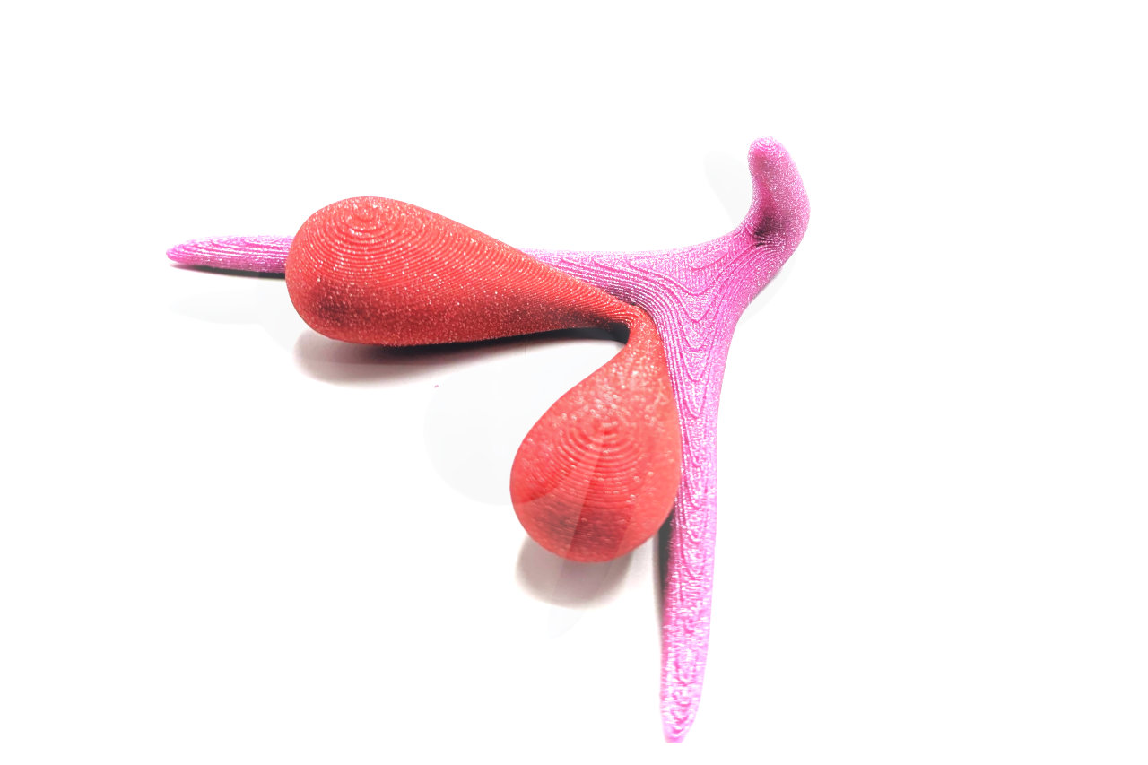 3D CLITORIS BY ODILE FILLOD
