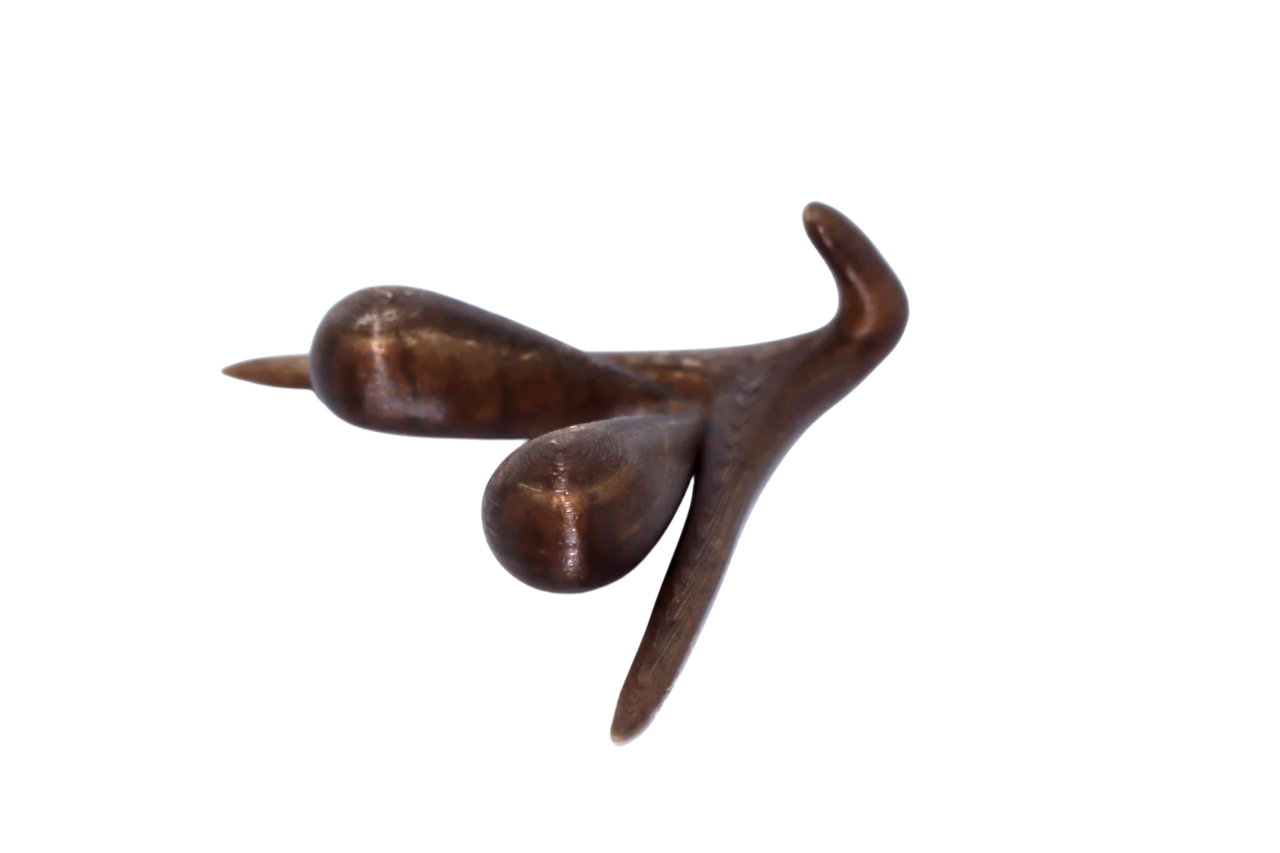 3D CLITORIS BY ODILE FILLOD