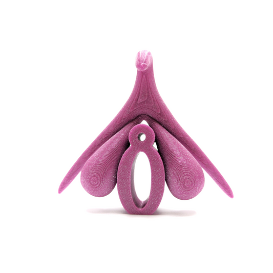 3D CLITORIS BY ODILE FILLOD