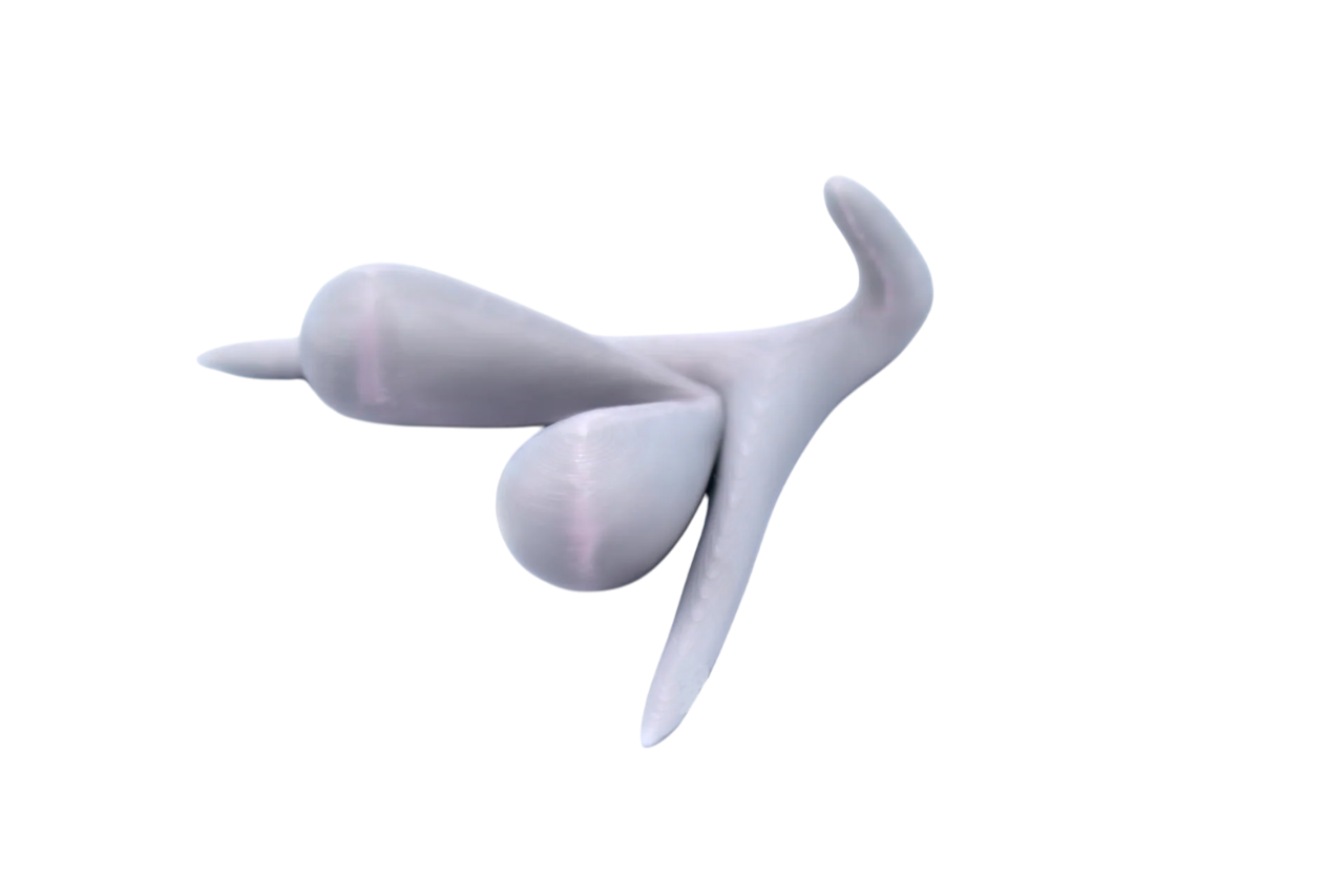 CLITORIS 3D BY ODILE FILLOD