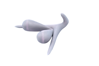 CLITORIS 3D BY ODILE FILLOD