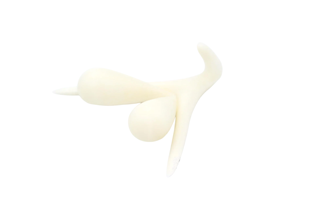 CLITORIS 3D BY ODILE FILLOD