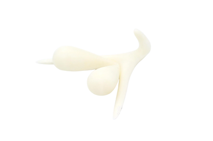 CLITORIS 3D BY ODILE FILLOD