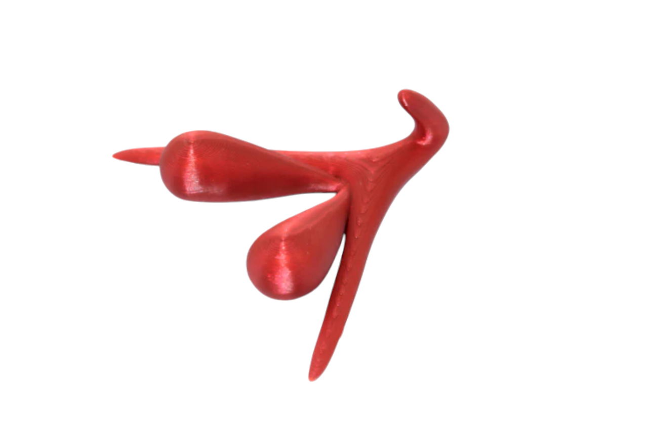 CLITORIS 3D BY ODILE FILLOD