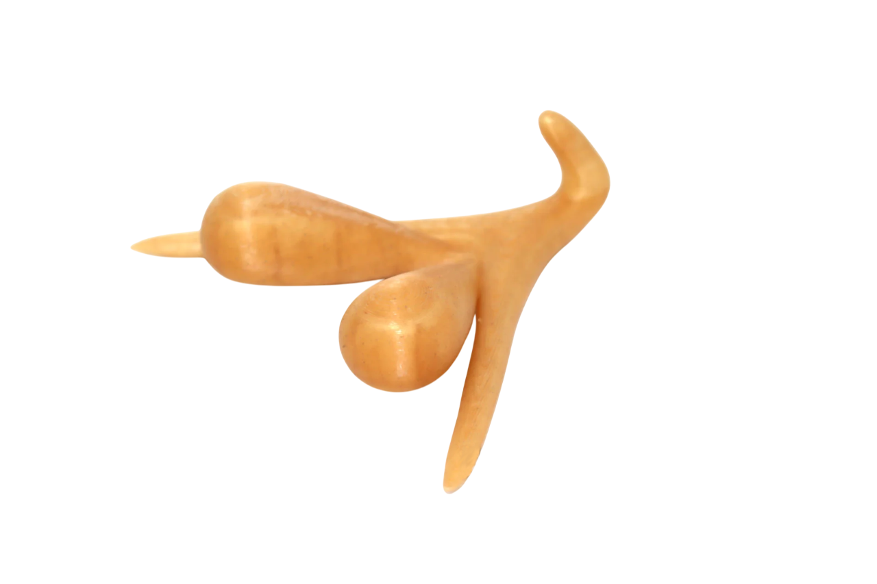 CLITORIS 3D BY ODILE FILLOD