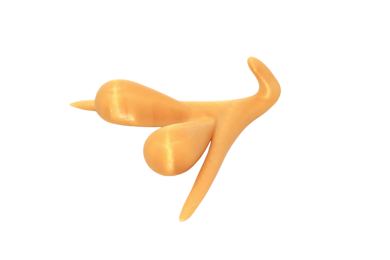 CLITORIS 3D BY ODILE FILLOD