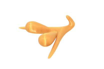 CLITORIS 3D BY ODILE FILLOD