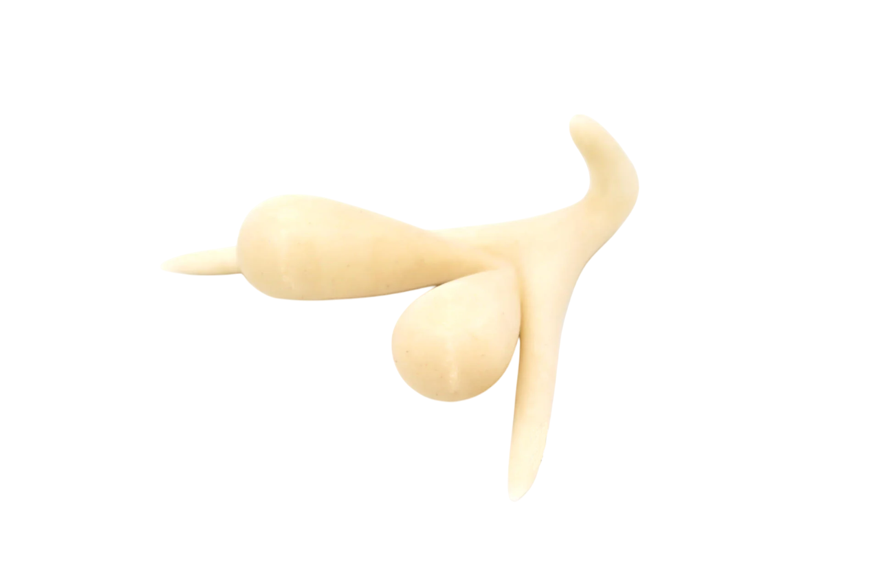 CLITORIS 3D BY ODILE FILLOD