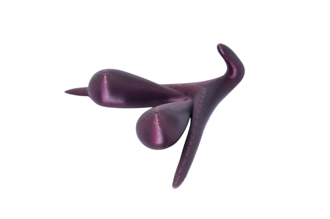 CLITORIS 3D BY ODILE FILLOD