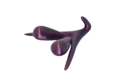 CLITORIS 3D BY ODILE FILLOD