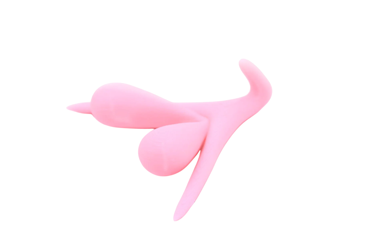 CLITORIS 3D BY ODILE FILLOD