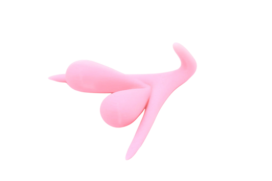 CLITORIS 3D BY ODILE FILLOD