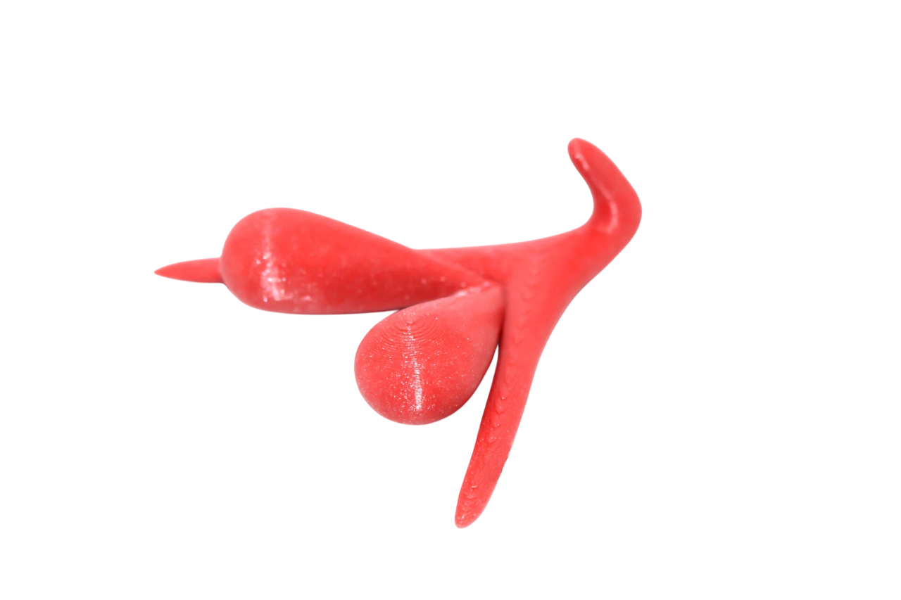 CLITORIS 3D BY ODILE FILLOD