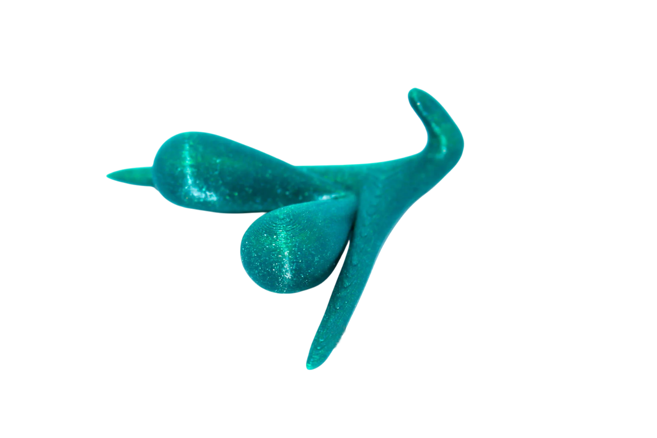 CLITORIS 3D BY ODILE FILLOD